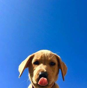 Meet your Posher, Kristin